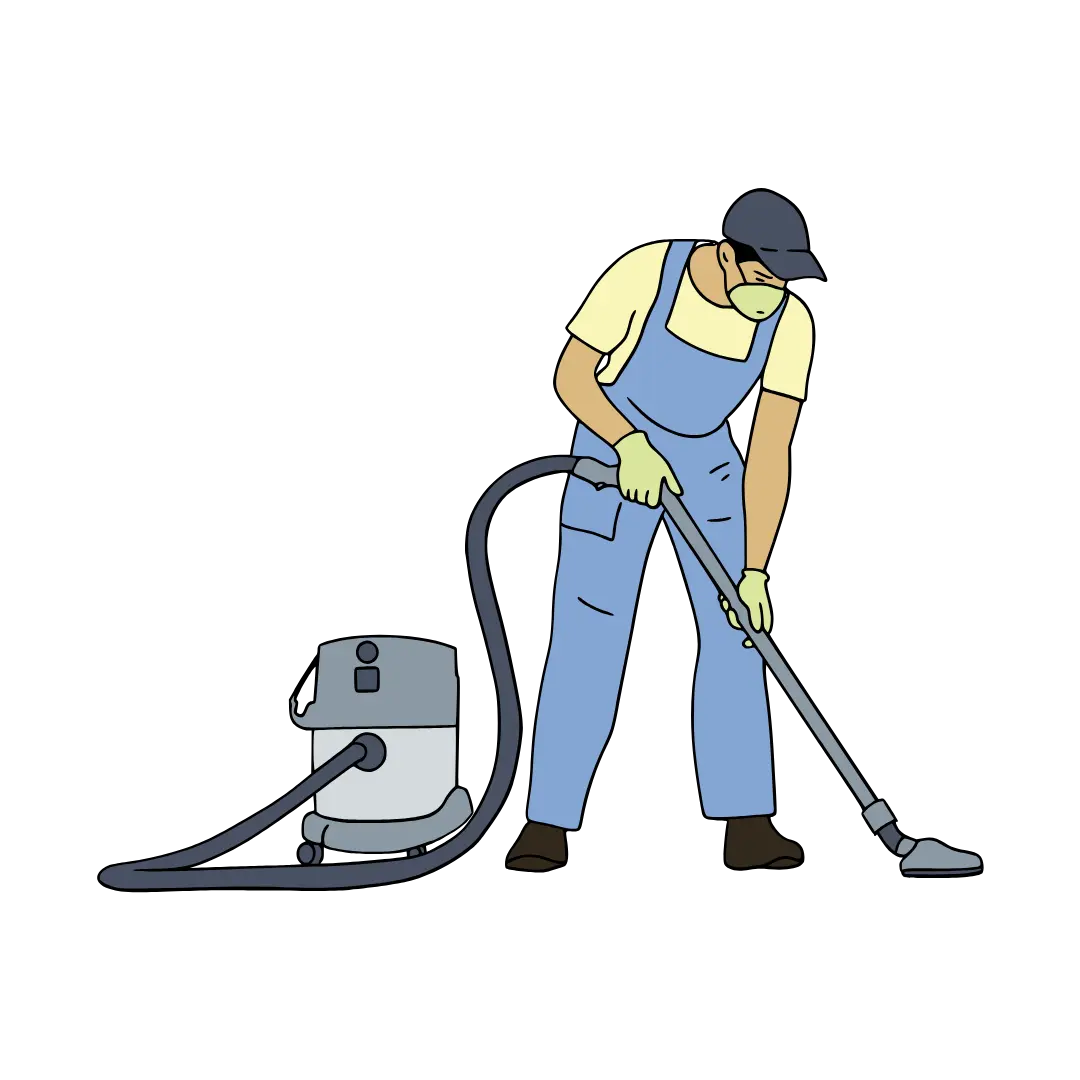  Broward County Carpet Cleaning Services